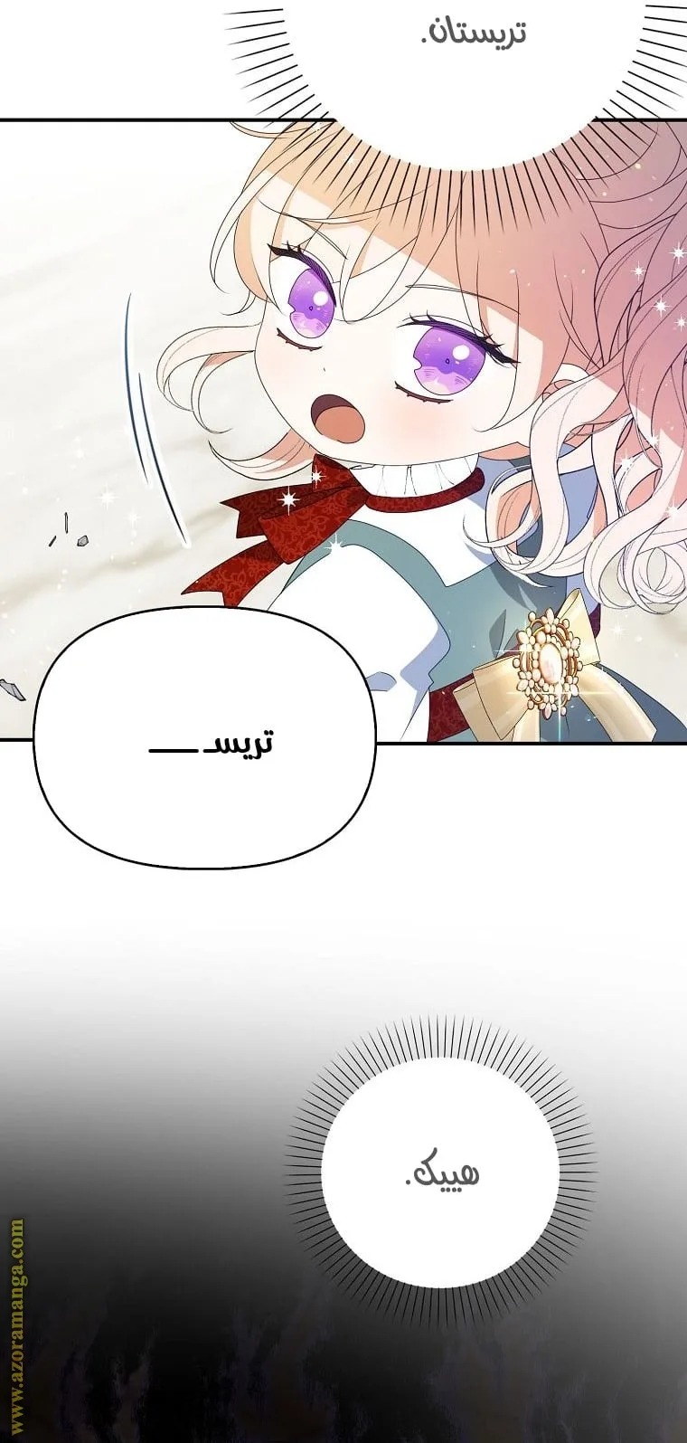 الصفحة 41