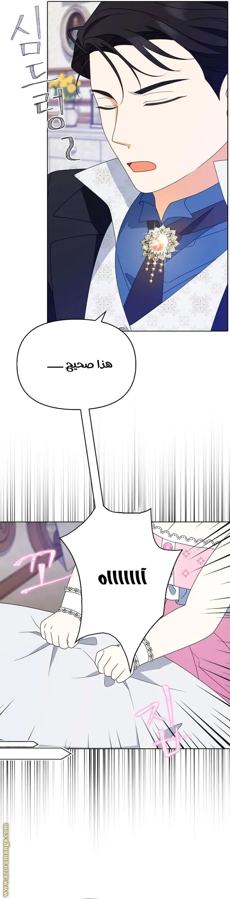 الصفحة 14
