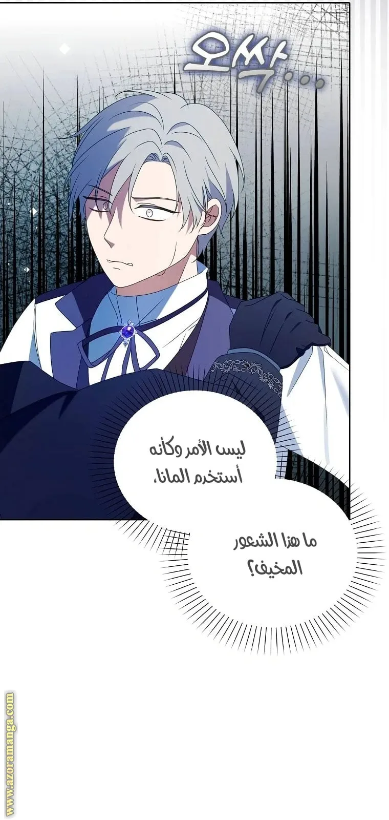 الصفحة 31