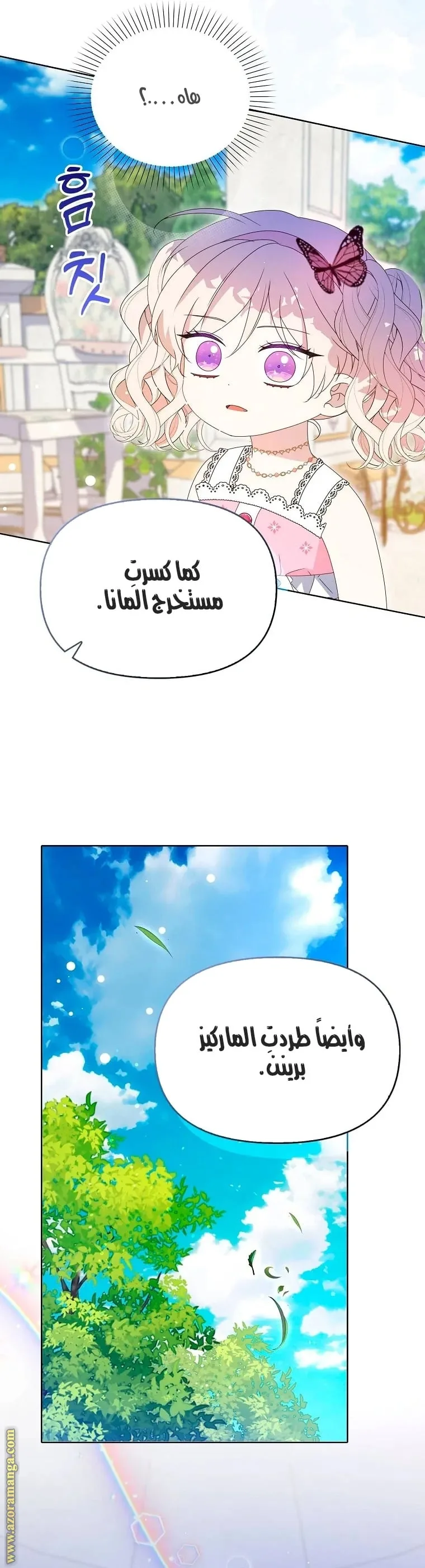 الصفحة 41