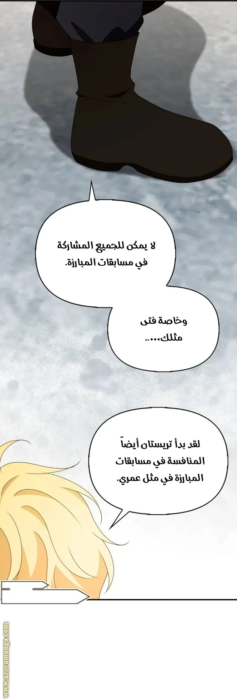 الصفحة 17