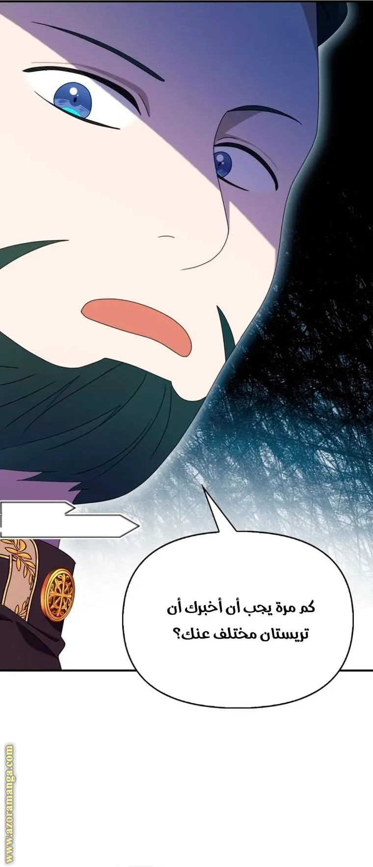 الصفحة 19