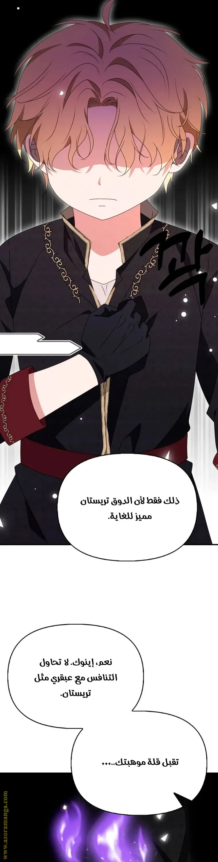 الصفحة 24