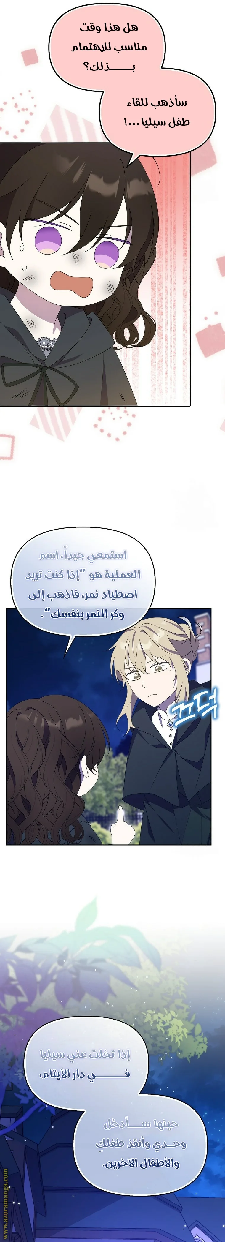 الصفحة 13