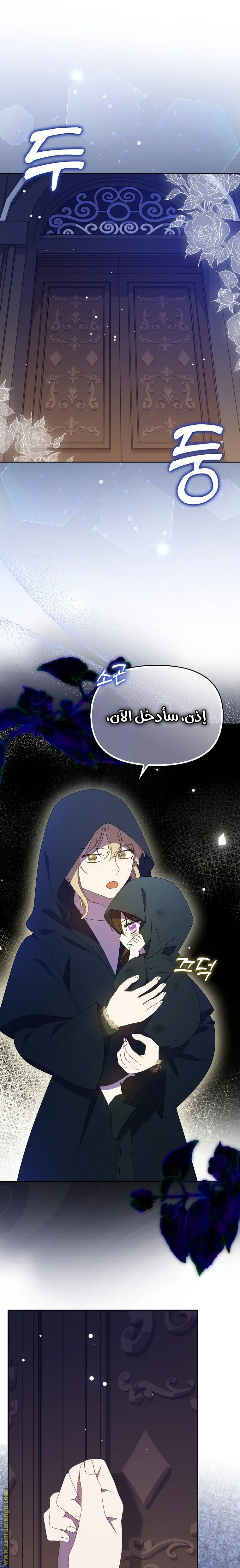الصفحة 17