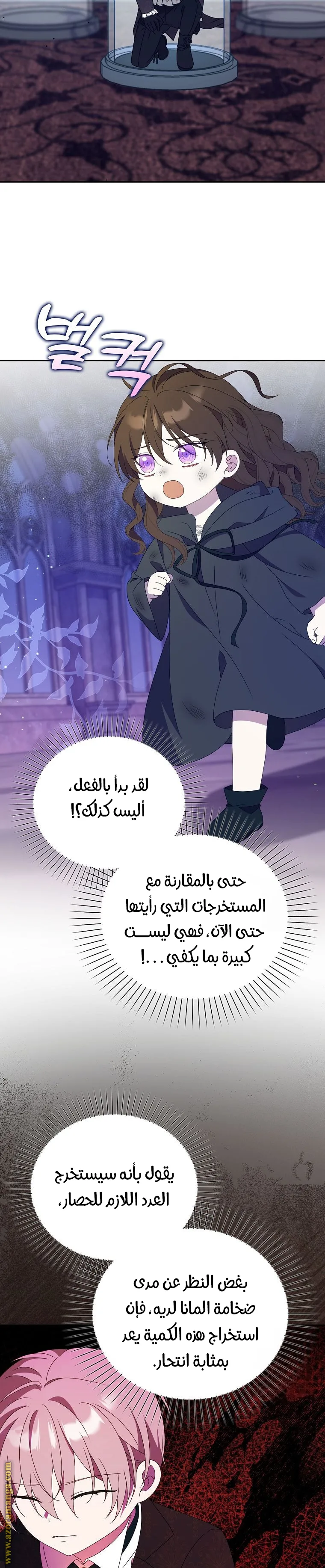 الصفحة 19