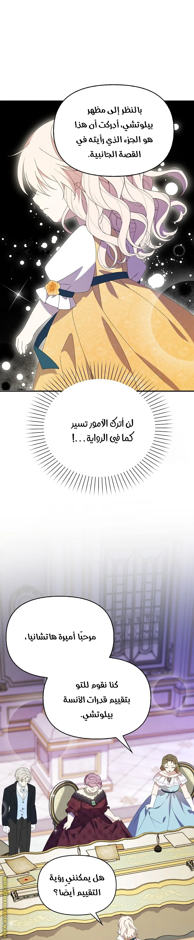 الصفحة 17