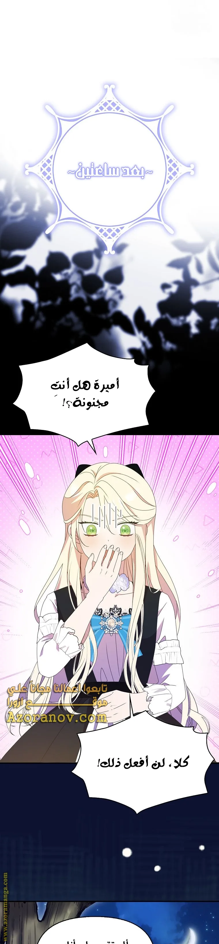 الصفحة 29