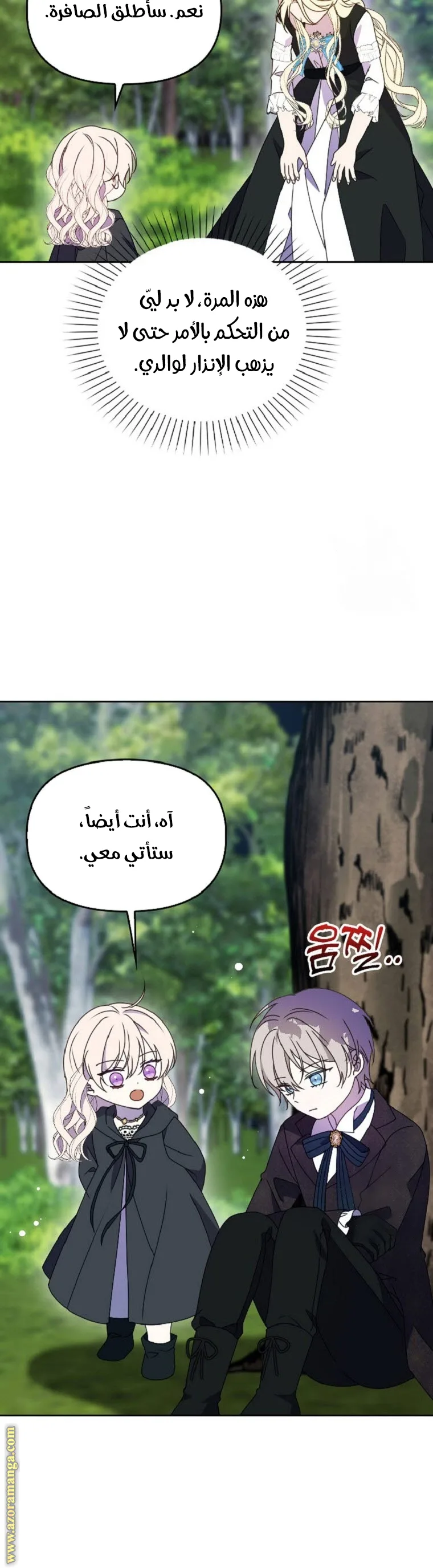 الصفحة 13