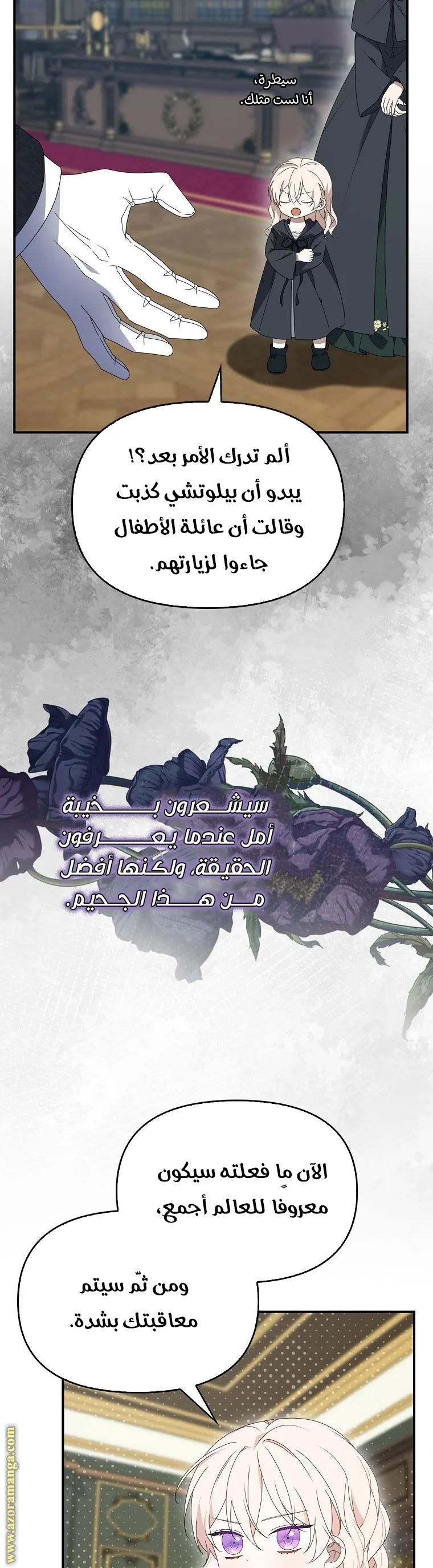 الصفحة 29