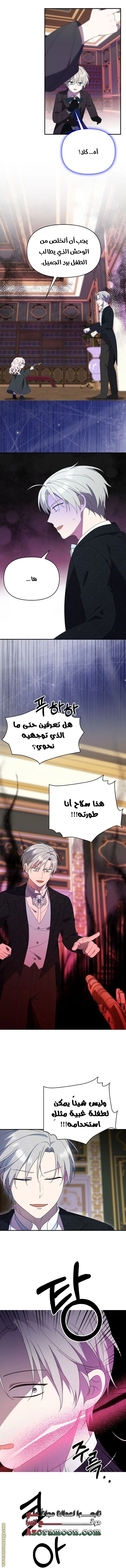 الصفحة 8