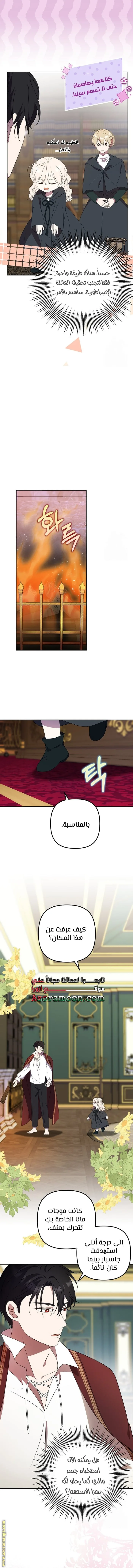 الصفحة 5