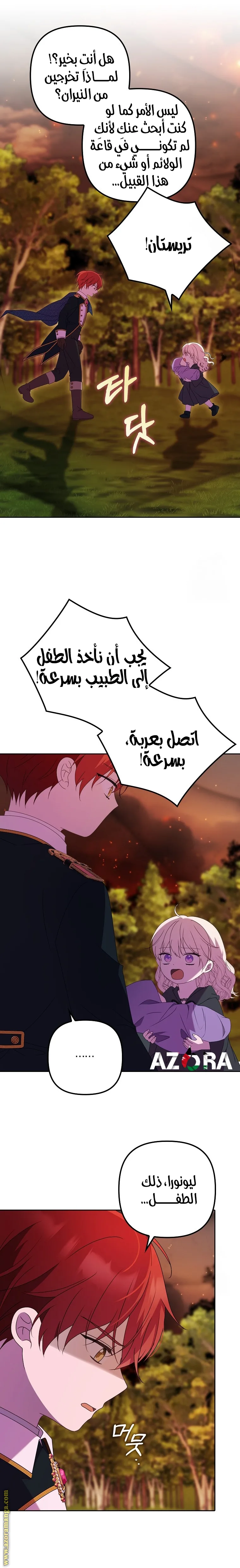 الصفحة 17