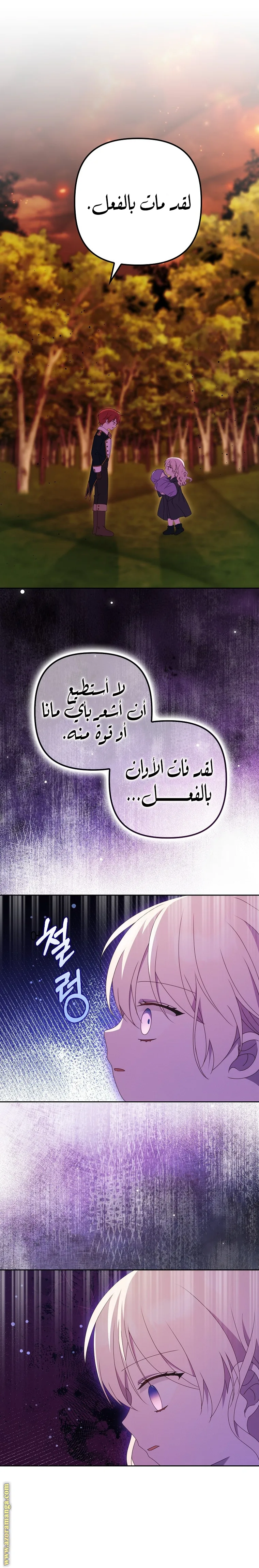 الصفحة 19