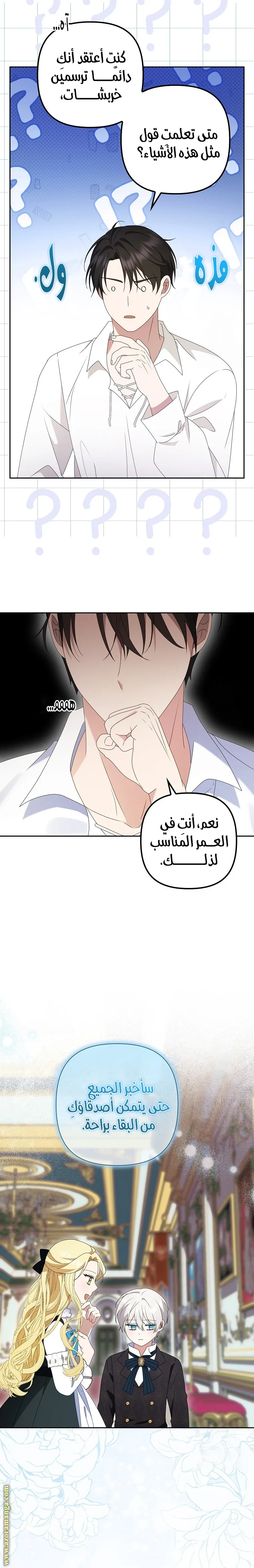الصفحة 17