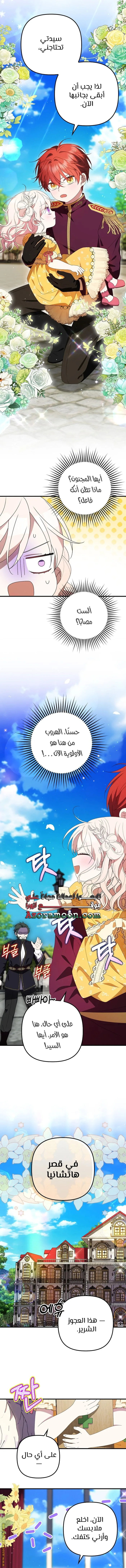 الصفحة 11