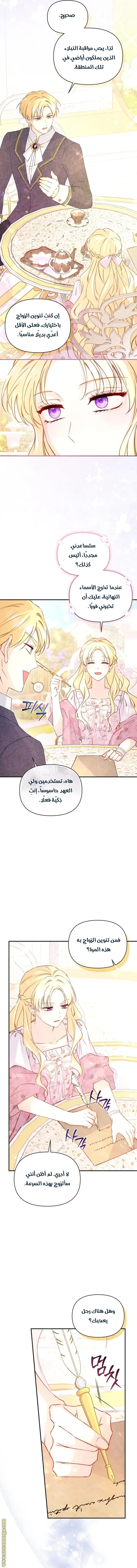 الصفحة 14