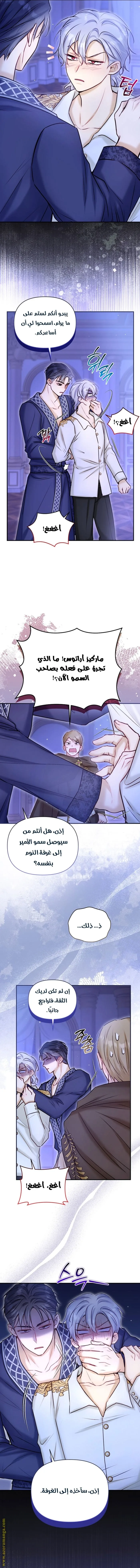 الصفحة 3