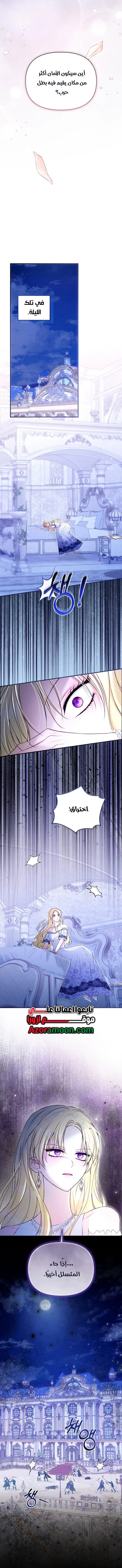 الصفحة 13