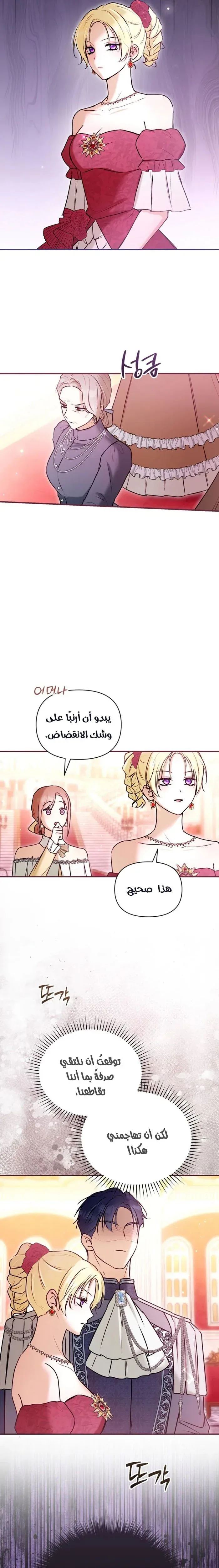 الصفحة 19