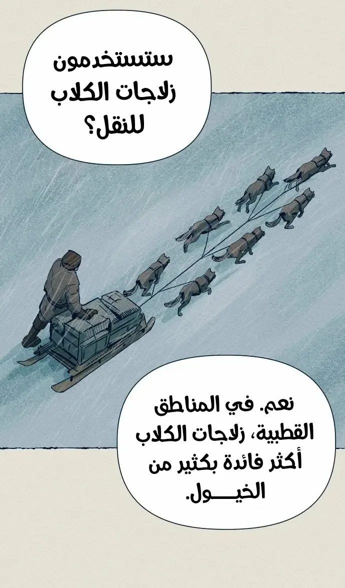 الصفحة 19