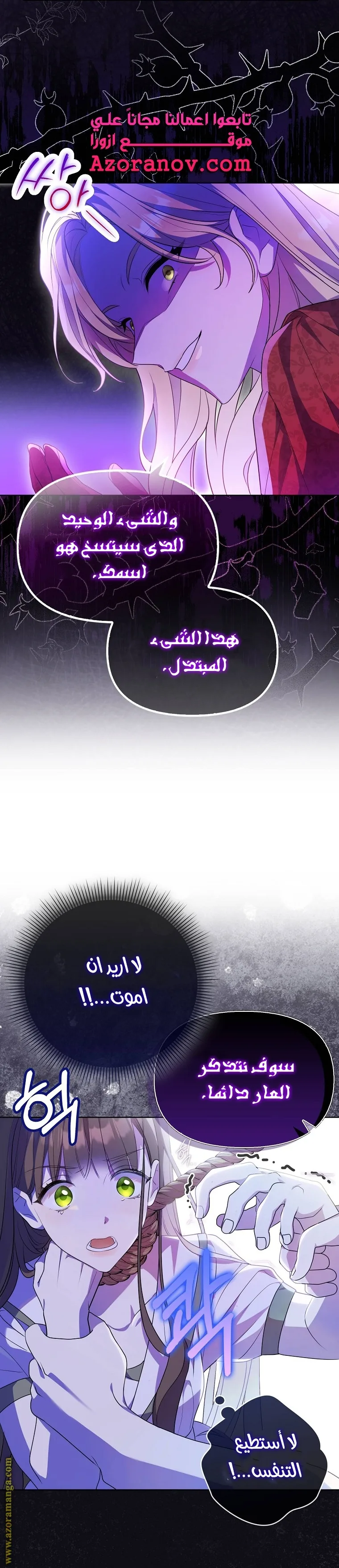الصفحة 26