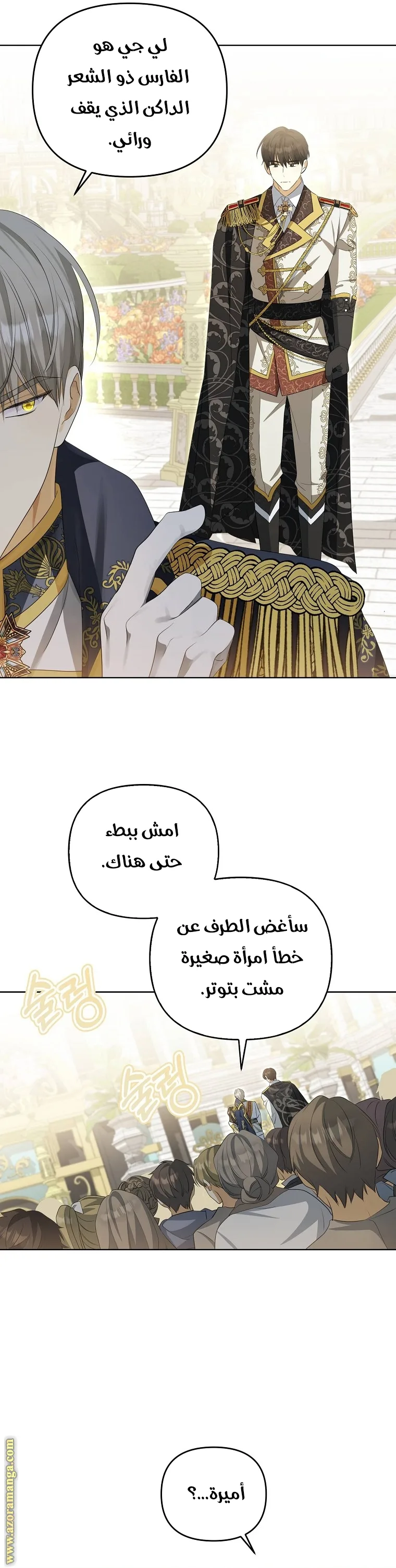 الصفحة 29