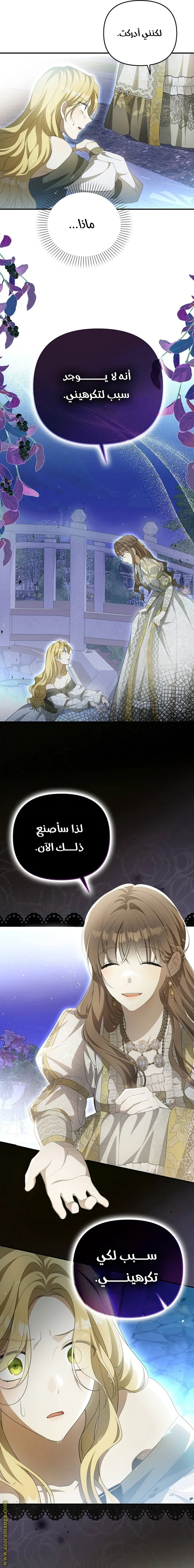 الصفحة 13
