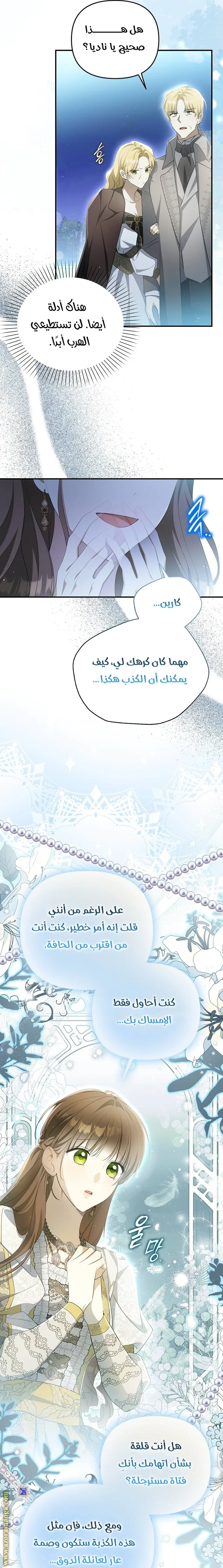 الصفحة 17