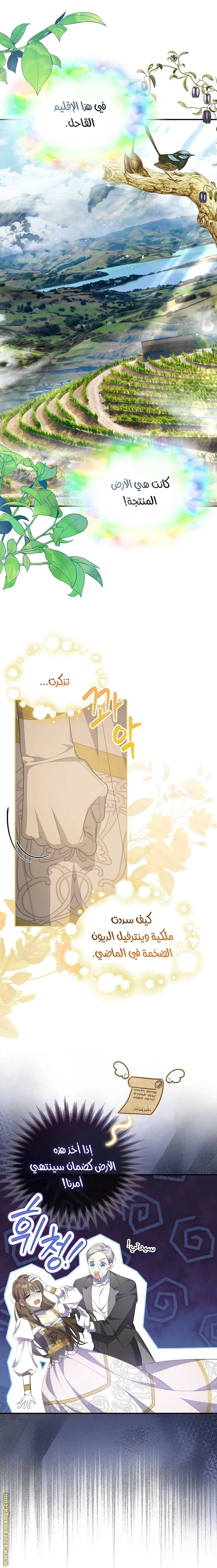 الصفحة 17