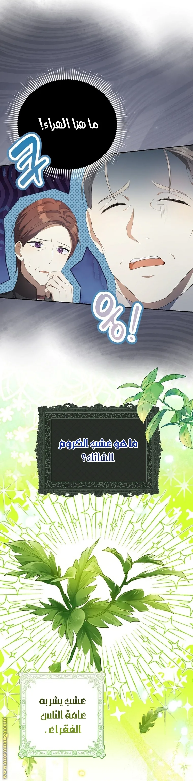 الصفحة 12