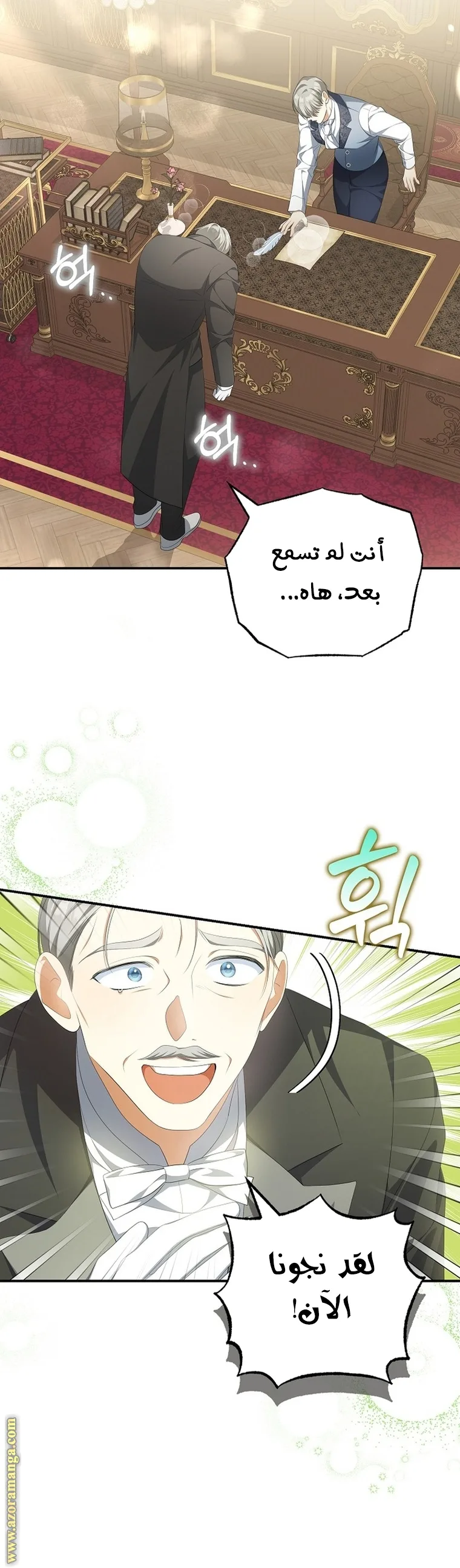 الصفحة 27