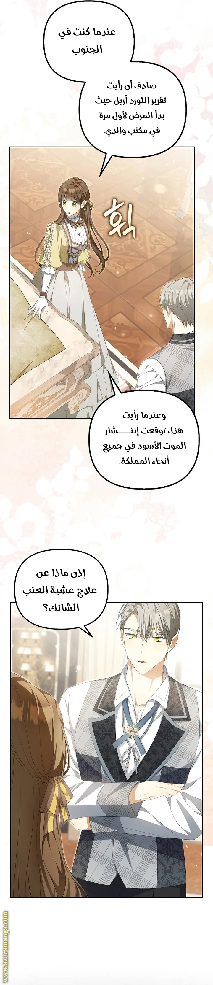 الصفحة 13