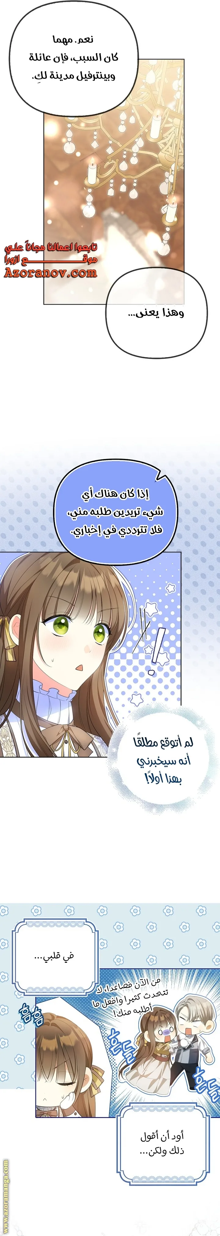 الصفحة 17
