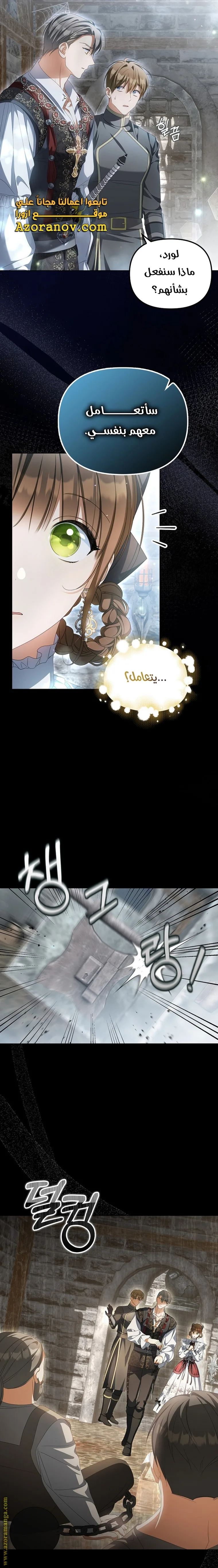 الصفحة 17
