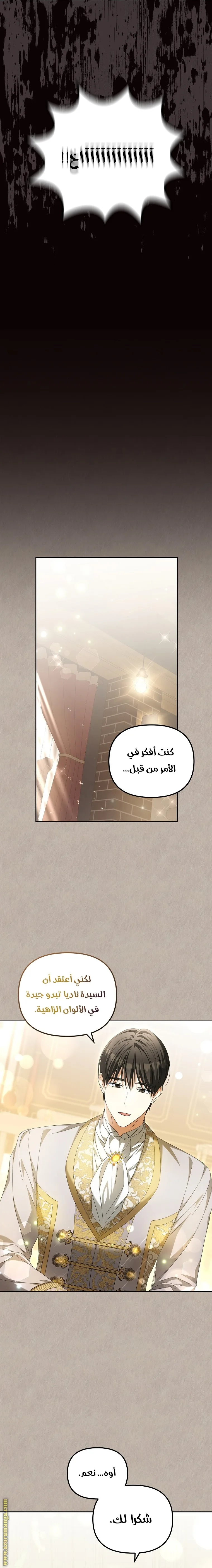 الصفحة 13