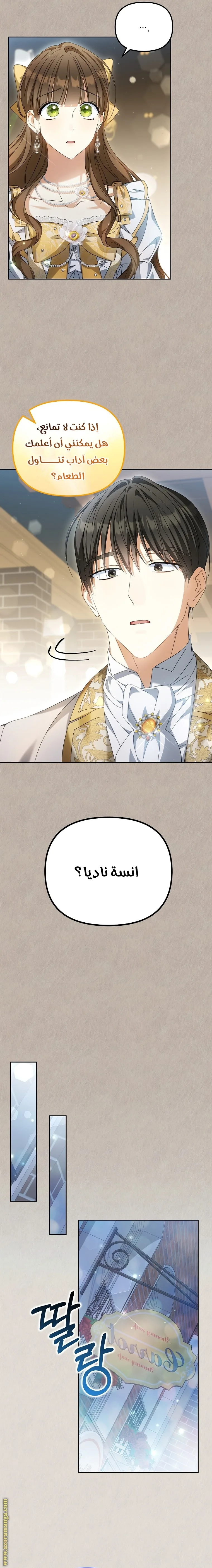 الصفحة 19