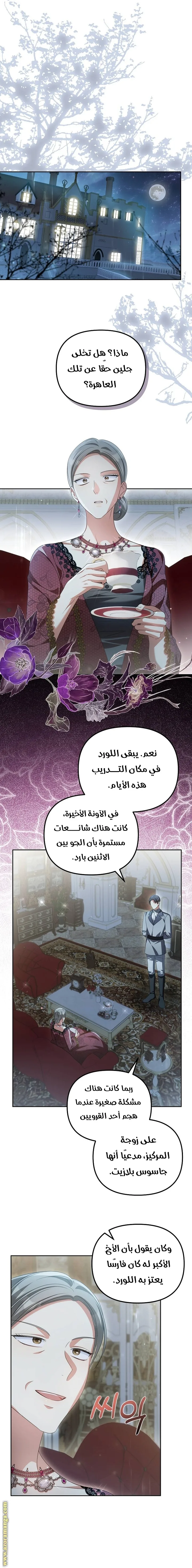 الصفحة 17