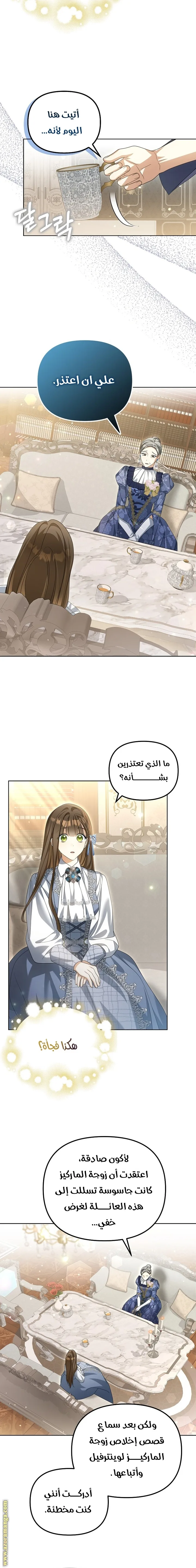 الصفحة 17