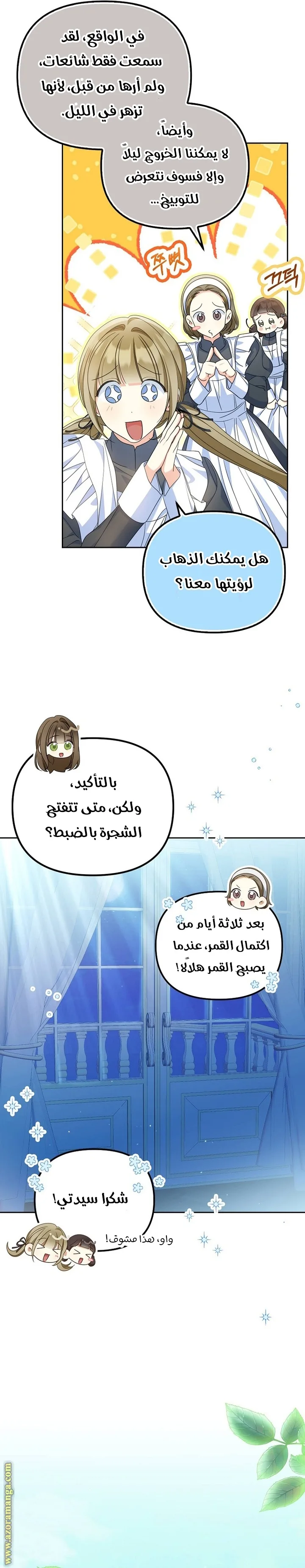 الصفحة 29