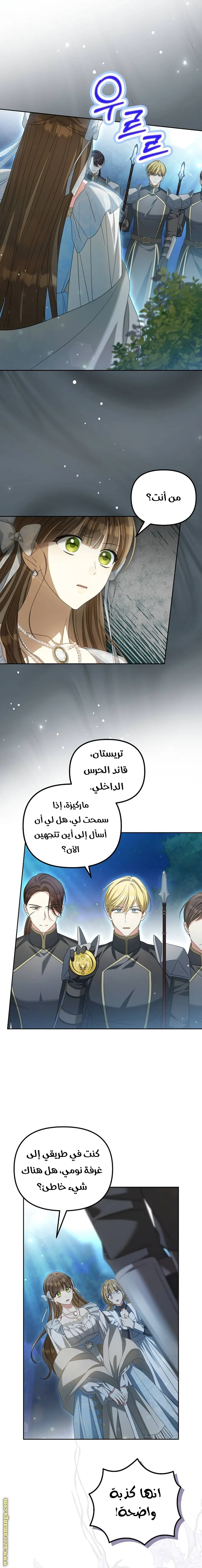 الصفحة 13