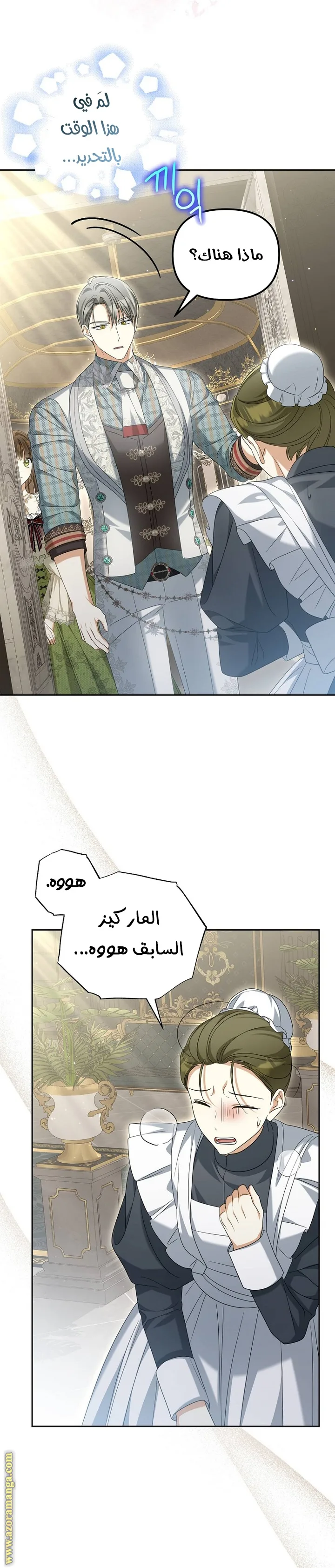 الصفحة 26