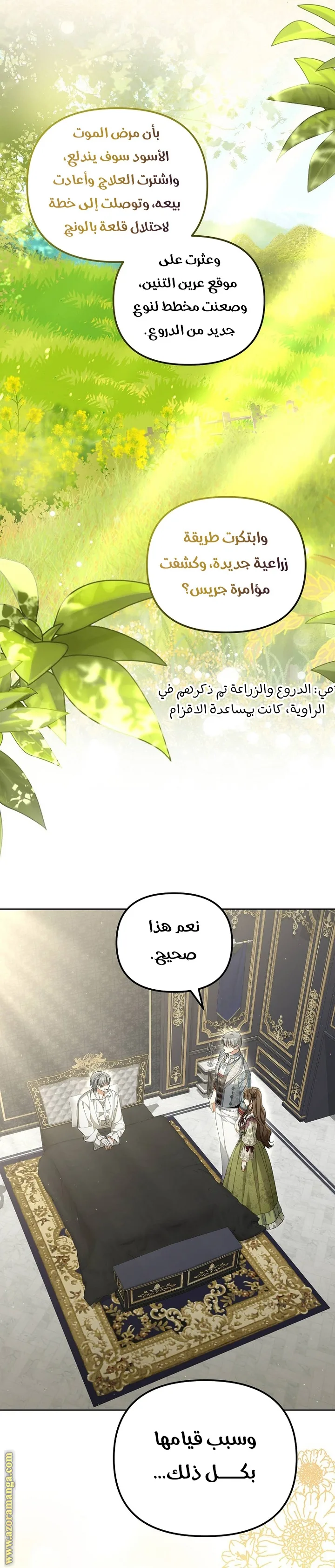 الصفحة 2