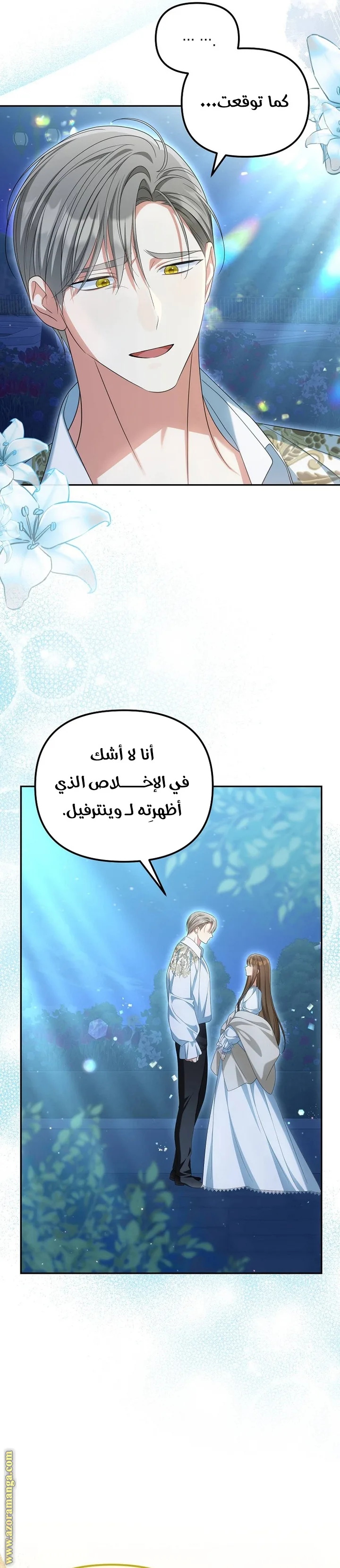 الصفحة 25