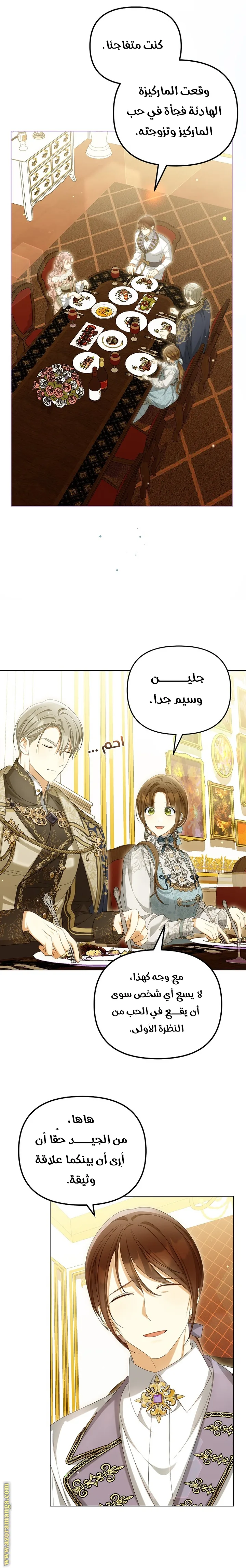 الصفحة 17