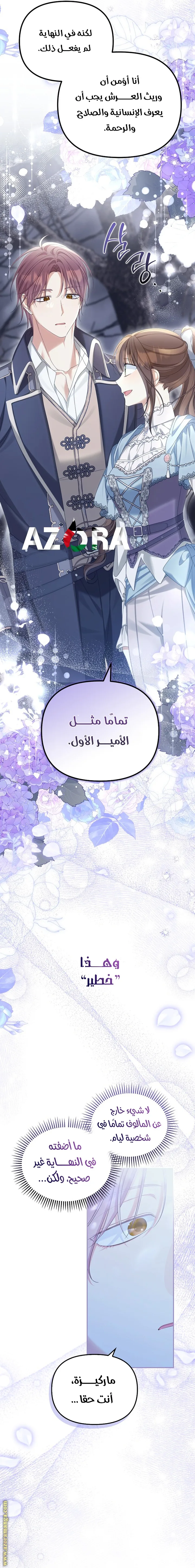 الصفحة 17