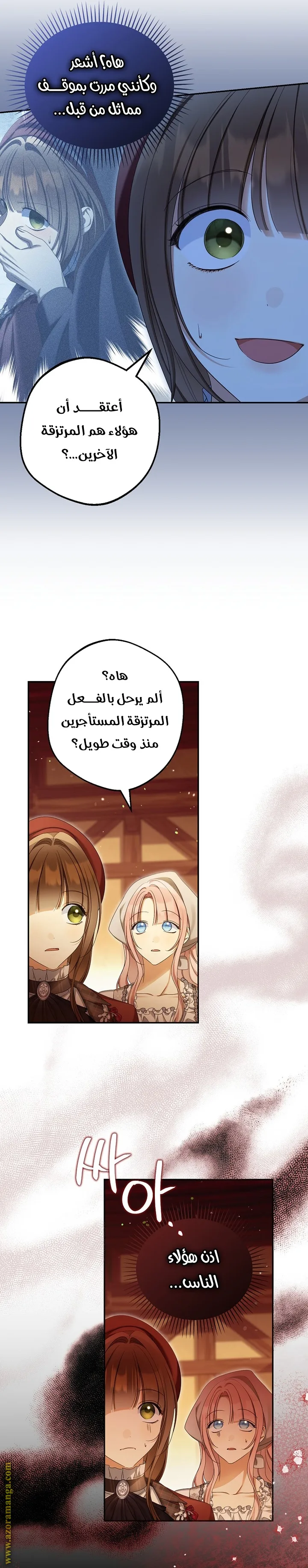 الصفحة 17