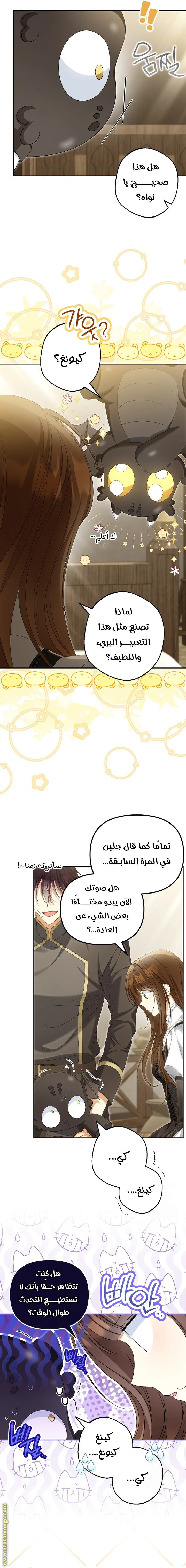 الصفحة 13