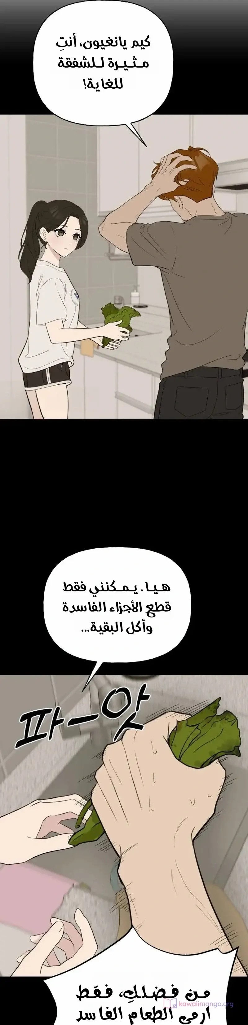 الصفحة 11
