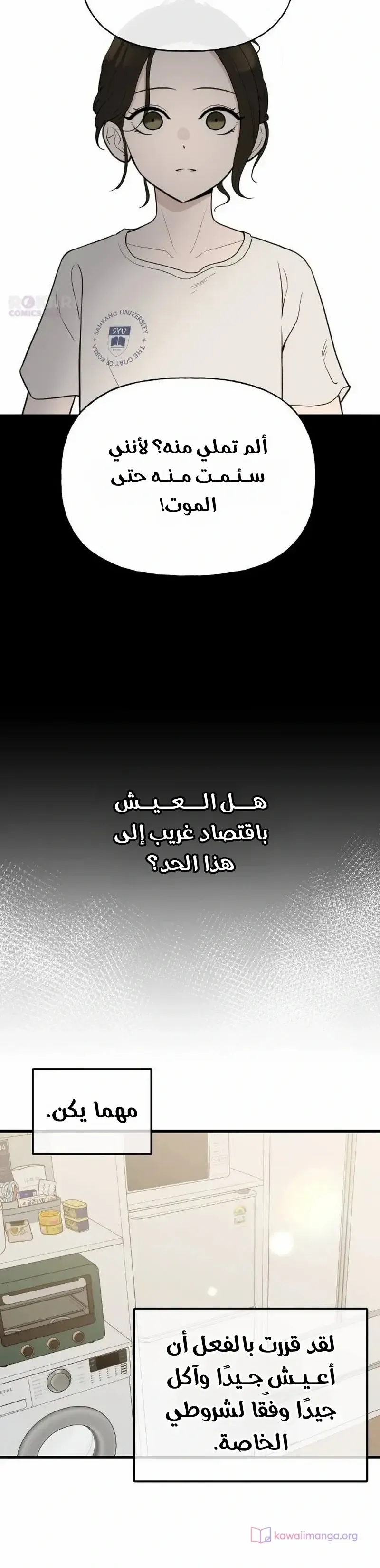 الصفحة 13